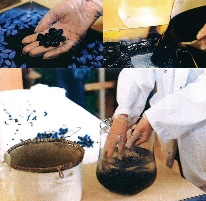 リンス作業